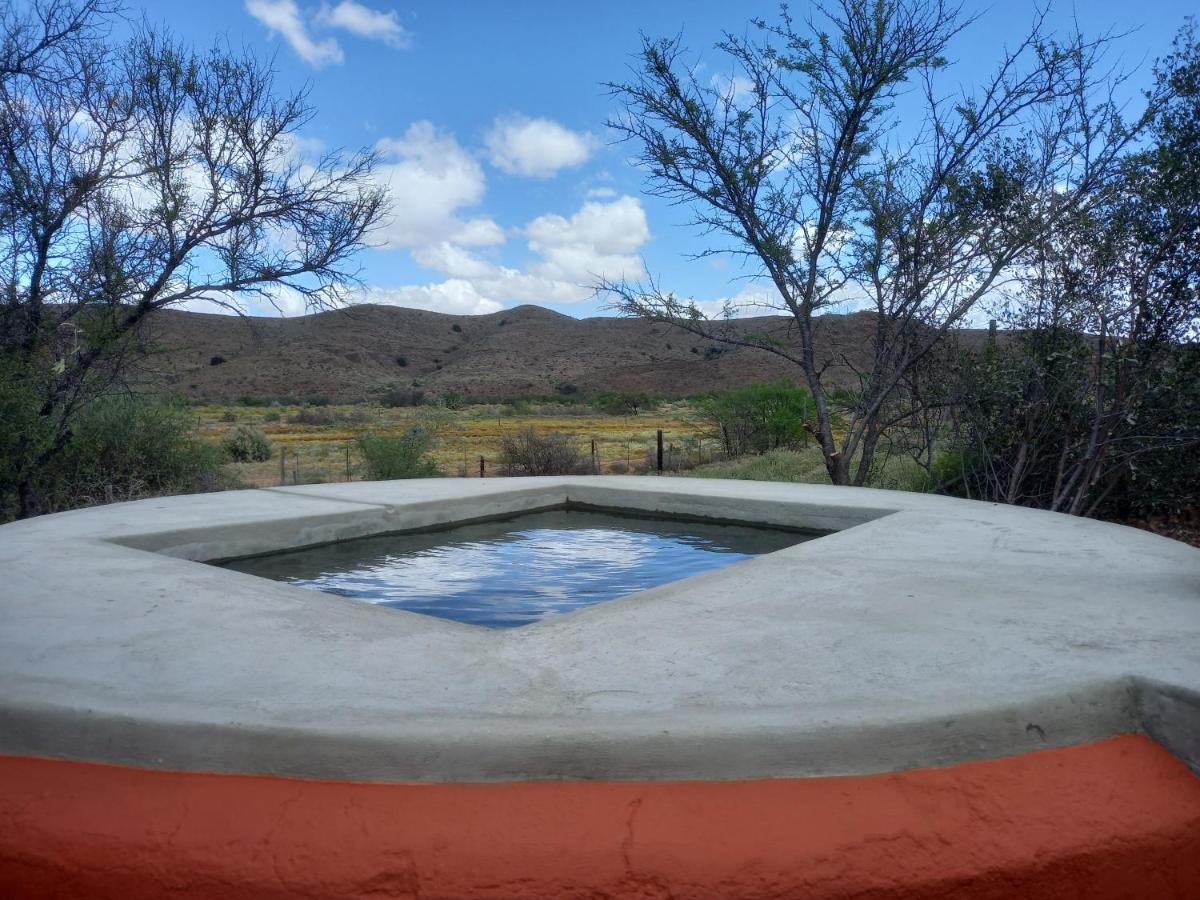 Wolverfontein Karoo Cottages 莱迪史密斯 外观 照片