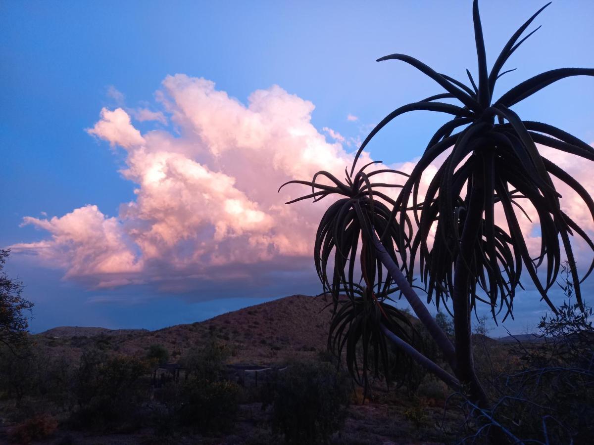 Wolverfontein Karoo Cottages 莱迪史密斯 外观 照片