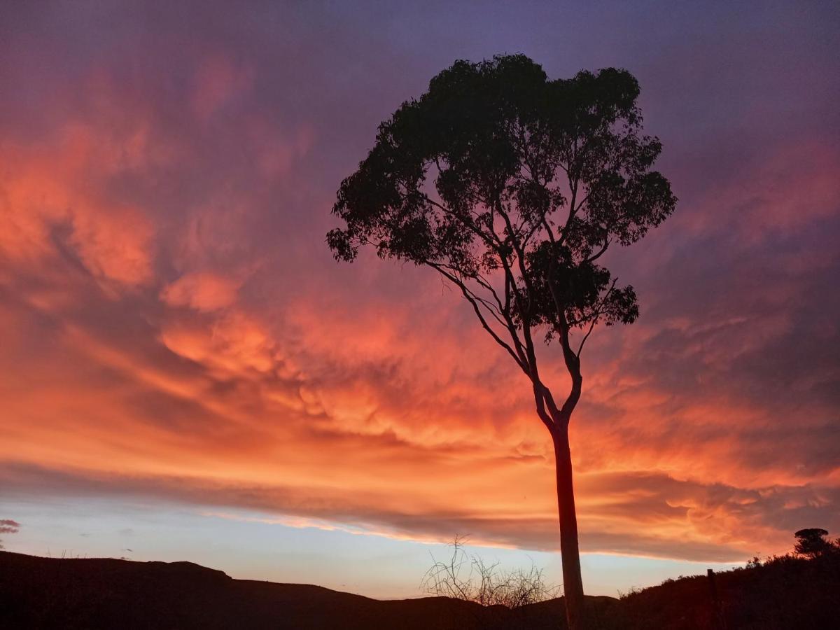 Wolverfontein Karoo Cottages 莱迪史密斯 外观 照片