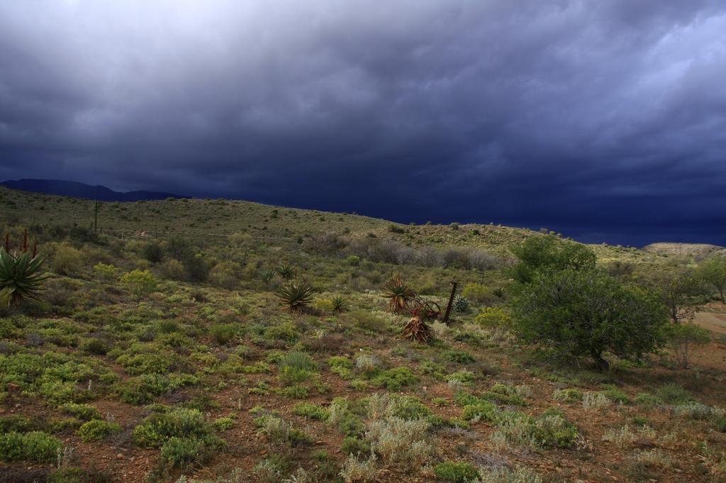 Wolverfontein Karoo Cottages 莱迪史密斯 外观 照片