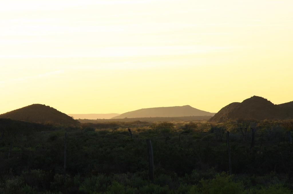 Wolverfontein Karoo Cottages 莱迪史密斯 外观 照片