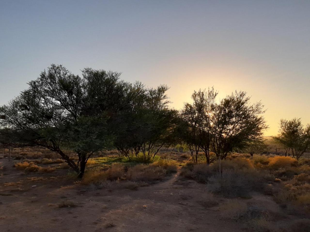 Wolverfontein Karoo Cottages 莱迪史密斯 外观 照片