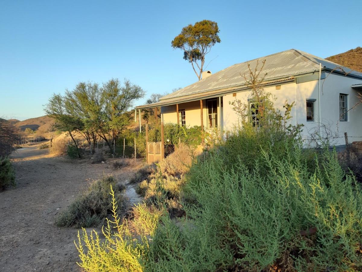 Wolverfontein Karoo Cottages 莱迪史密斯 外观 照片